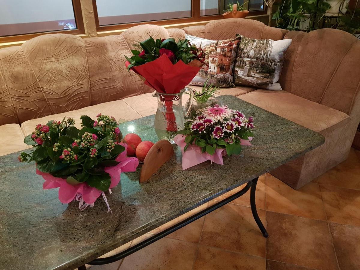 Ивановата Къща 大特尔诺沃 外观 照片